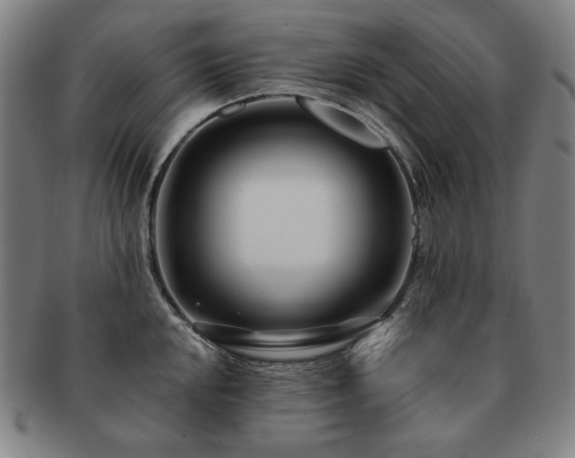 X0000091451048200708231251