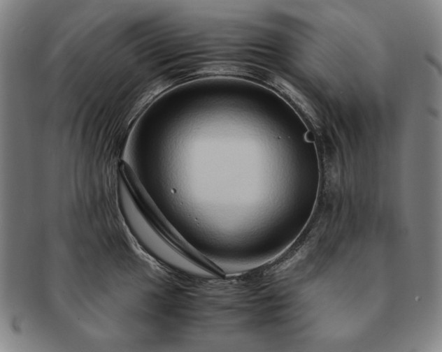 X0000091451049200708231251
