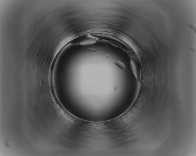 X0000091451050200708231251