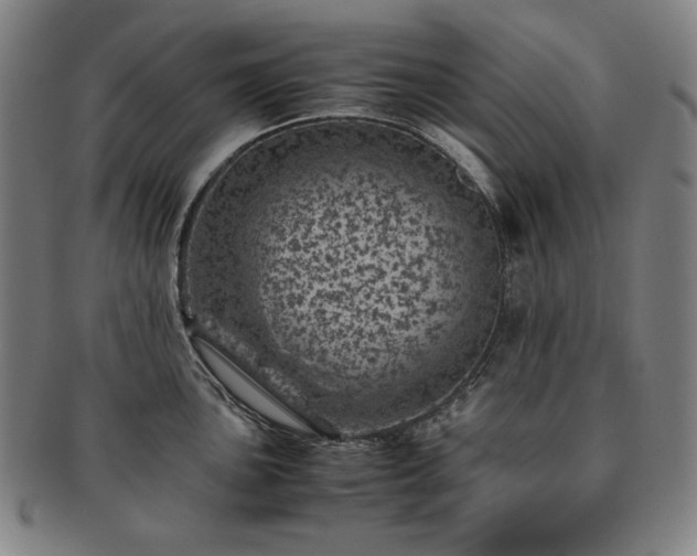 X0000091451051200708231251