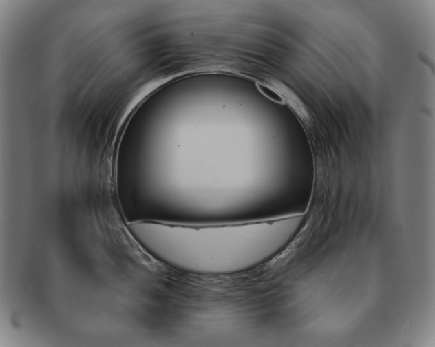 X0000091451052200708231251