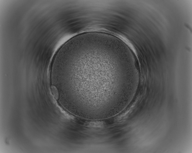 X0000091451053200708231251