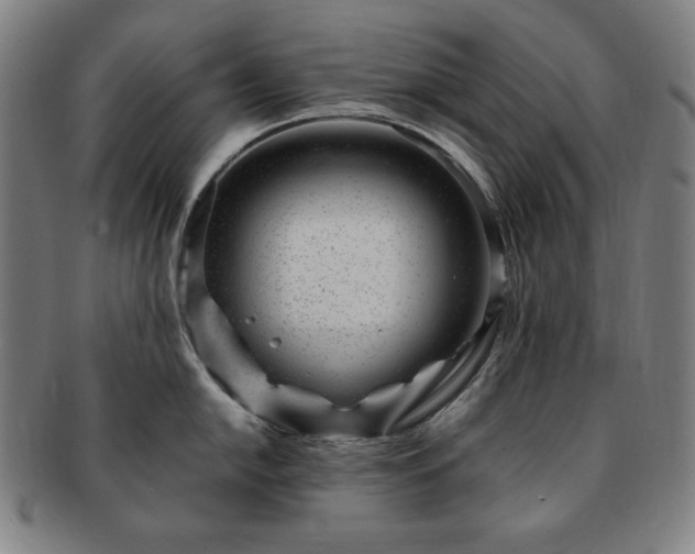 X0000091451054200708231251