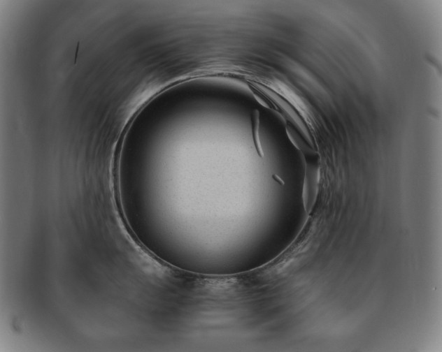 X0000091451055200708231251