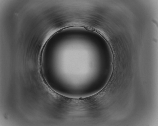 X0000091451056200708231251
