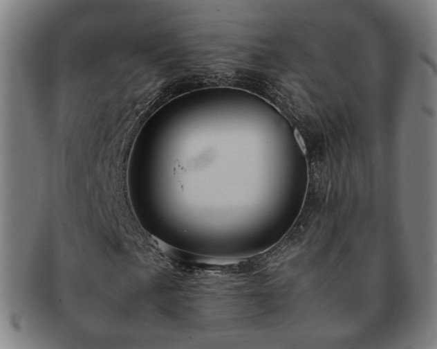 X0000091451057200708231250