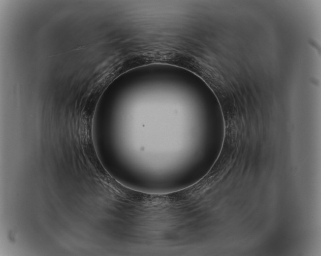 X0000091451058200708231250