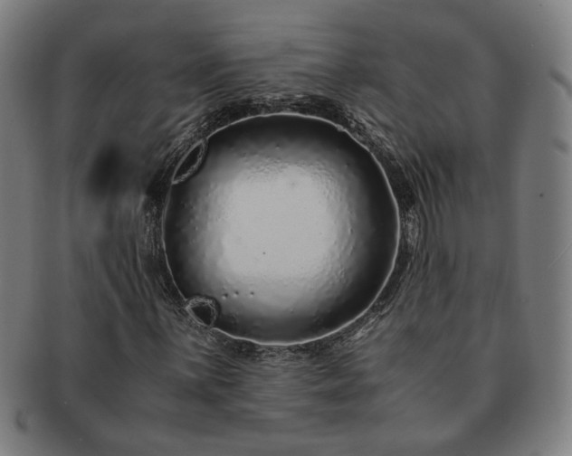 X0000091451059200708231250