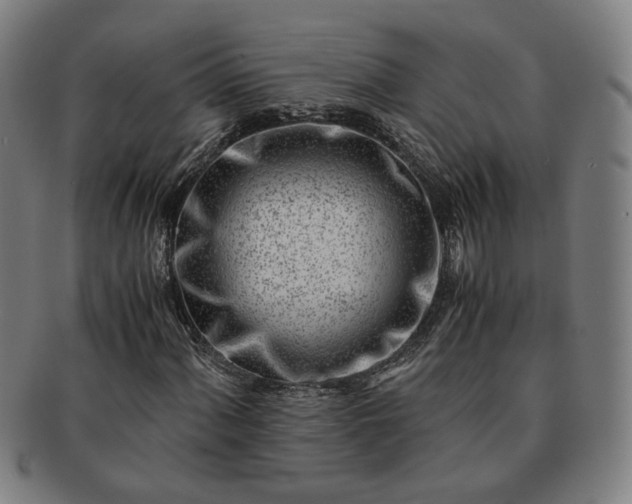 X0000091451060200708231250
