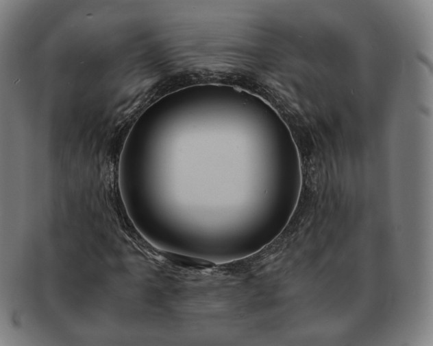 X0000091451061200708231250