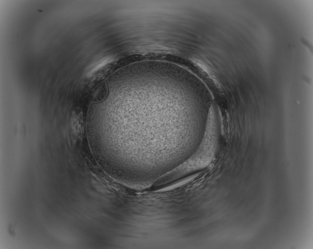 X0000091451063200708231250