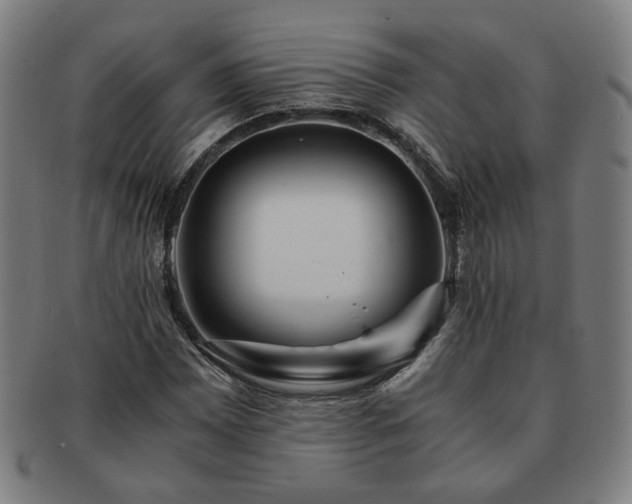 X0000091451065200708231250