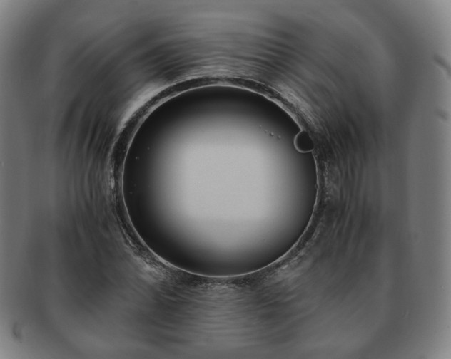 X0000091451070200708231250