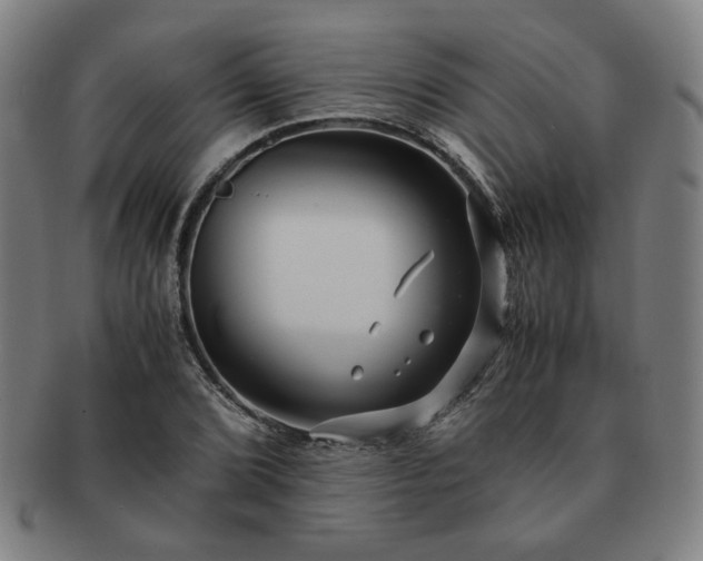 X0000091451072200708231250