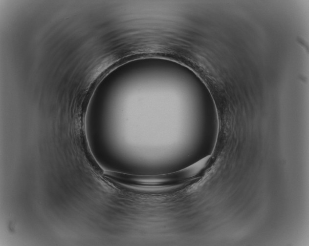 X0000091451073200708231250