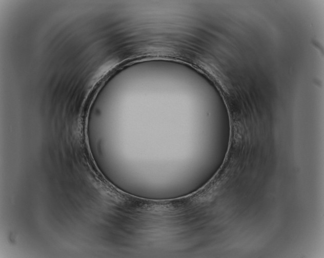 X0000091451074200708231250