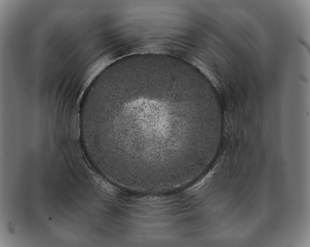 X0000091451075200708231250