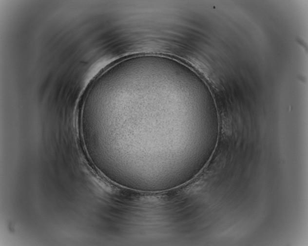 X0000091451078200708231250