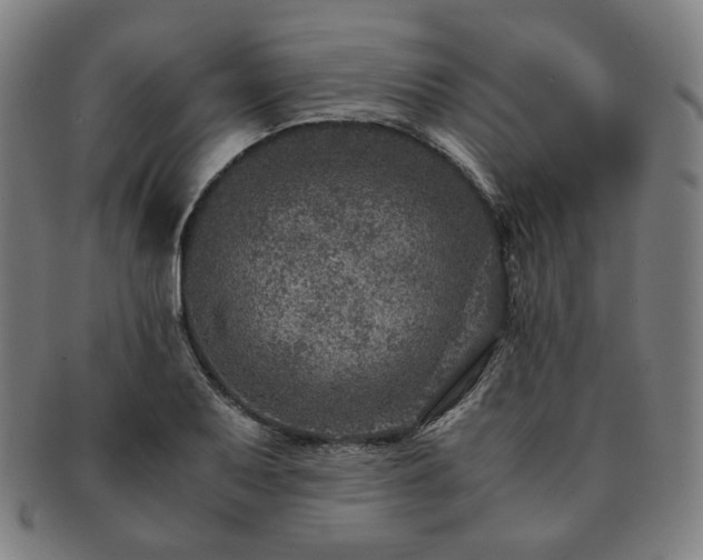 X0000091451079200708231250