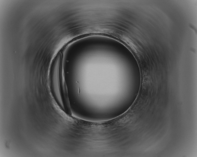 X0000091451080200708231250