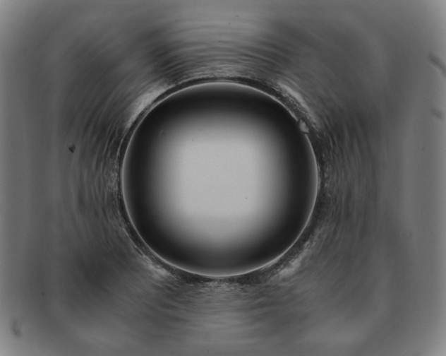 X0000091451081200708231250