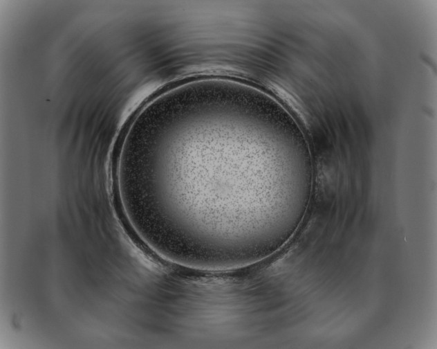 X0000091451082200708231250