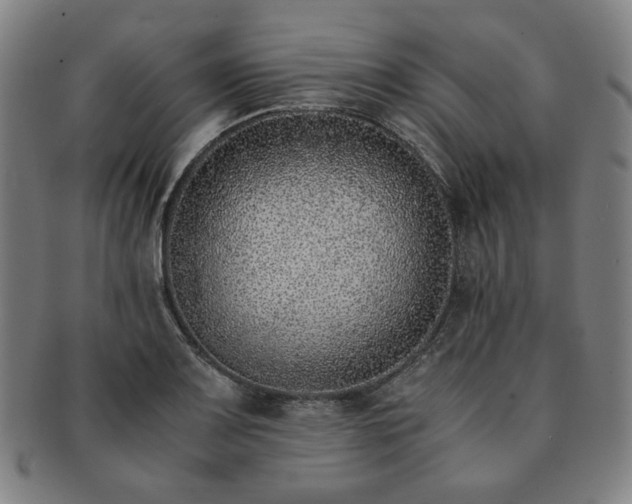 X0000091451083200708231250