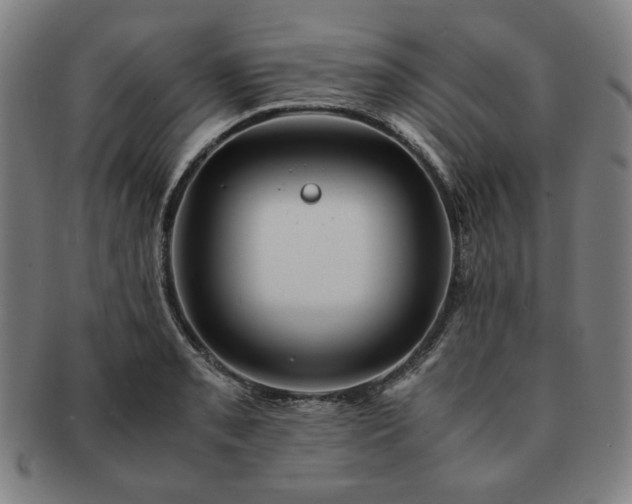 X0000091451085200708231250