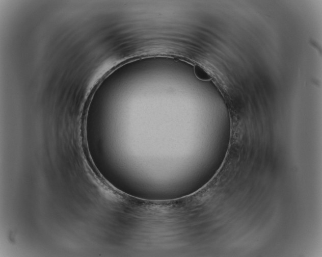 X0000091451086200708231250