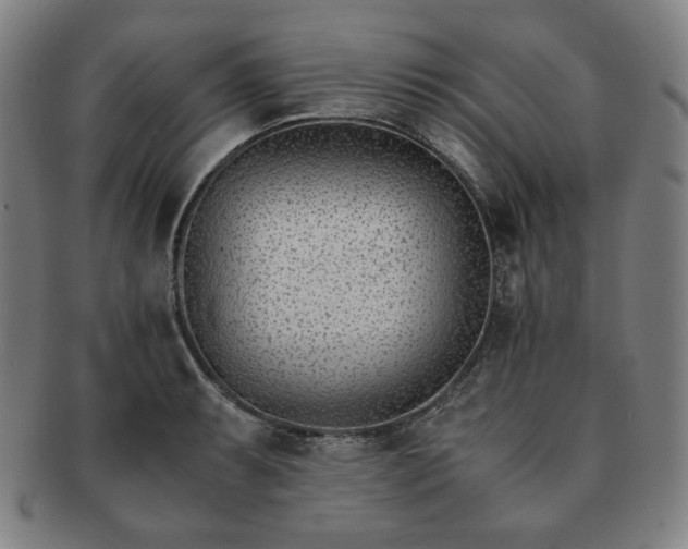 X0000091451087200708231250