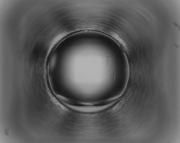 X0000091451088200708231250