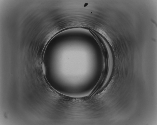 X0000091451089200708231250