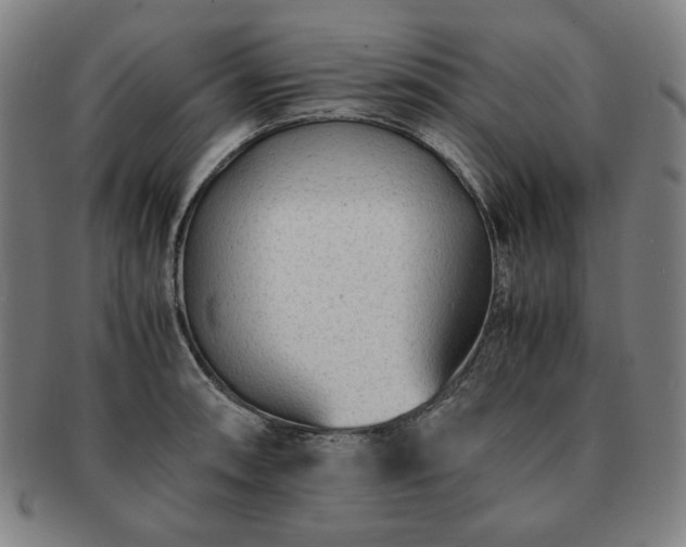 X0000091451090200708231250