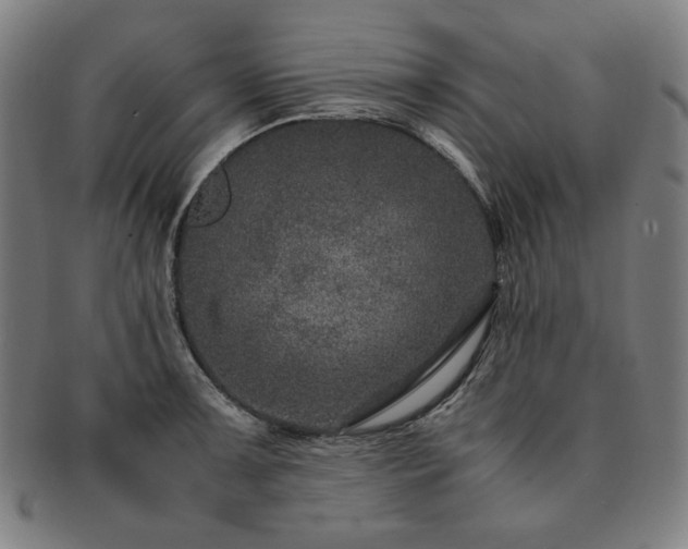 X0000091451091200708231250