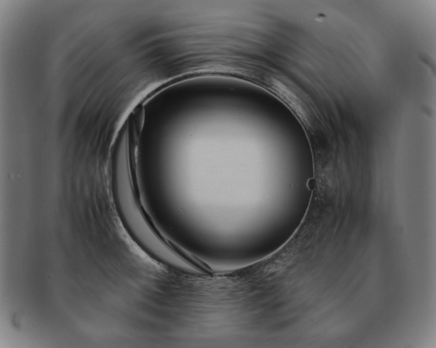 X0000091451092200708231250