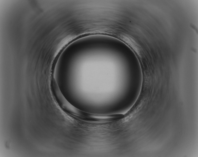 X0000091451093200708231250