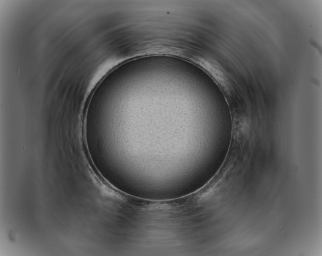 X0000091451094200708231250