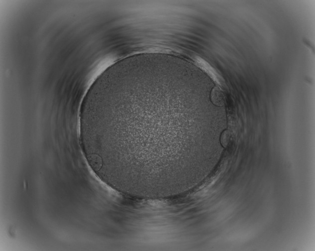 X0000091451095200708231250