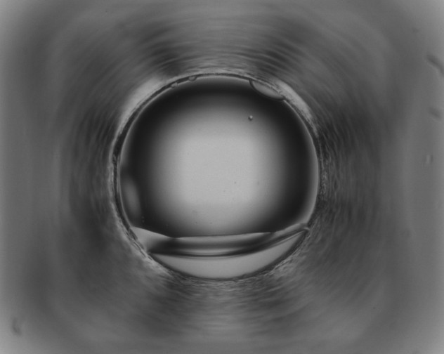X0000091451096200708231250
