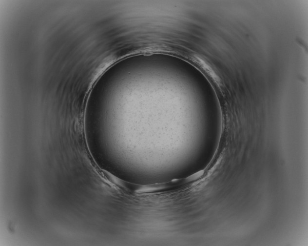 X0000091451097200708231250