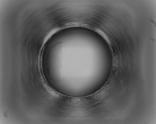 X0000091451098200708231250