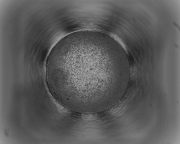 X0000091451099200708231250