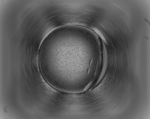 X0000091451100200708231250