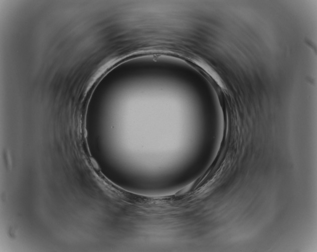 X0000091451101200708231250