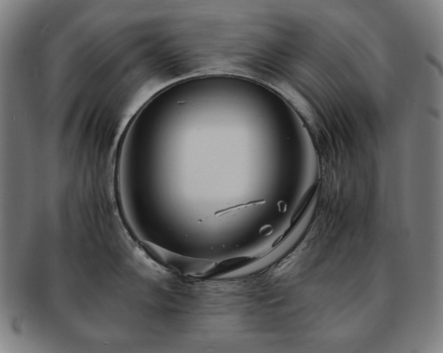 X0000091451102200708231250
