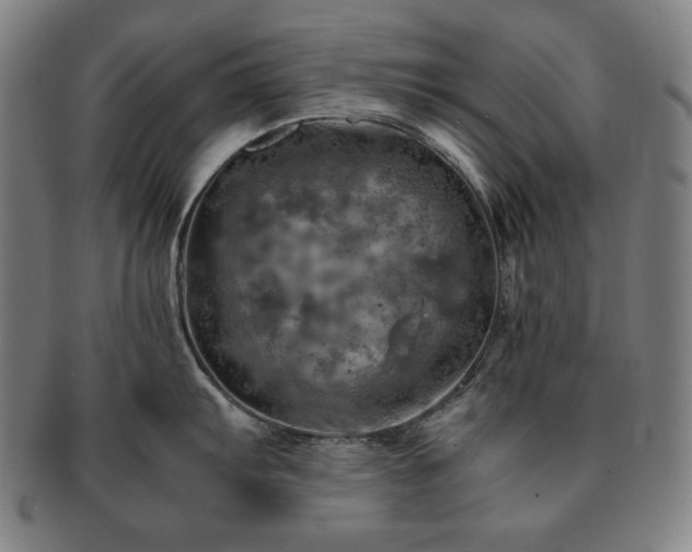 X0000091451103200708231250