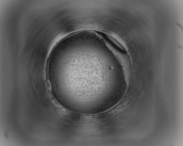 X0000091451104200708231250