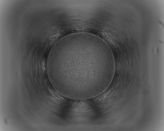 X0000091451106200708231249