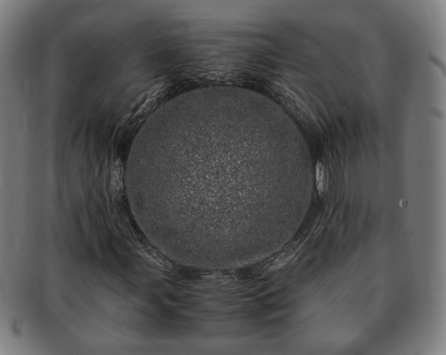 X0000091451107200708231249