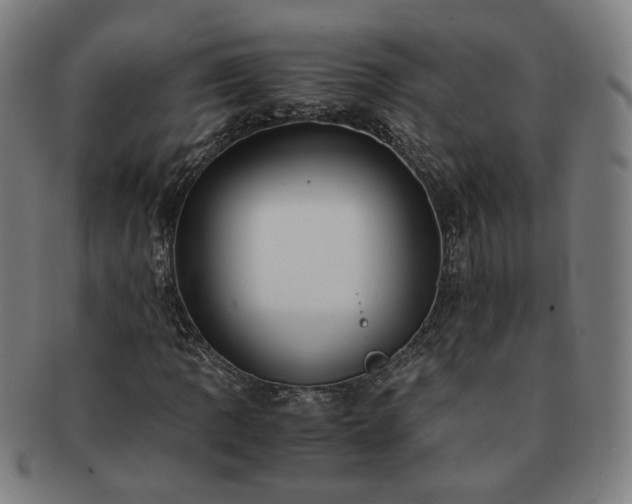 X0000091451109200708231249